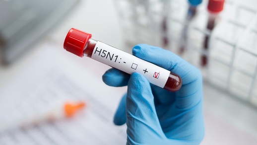 H5N1 © Shutterstock