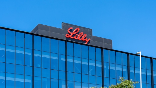 Lilly © Shutterstock