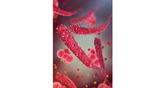 Helicobacter © Shutterstock