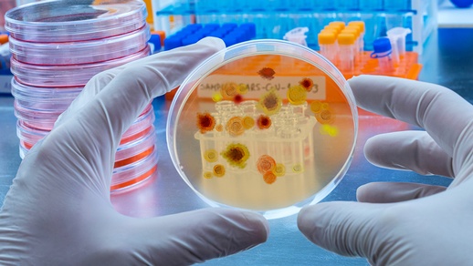 Malaria © Shutterstock