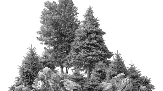 Natur: Gut für die Augen © Shutterstock