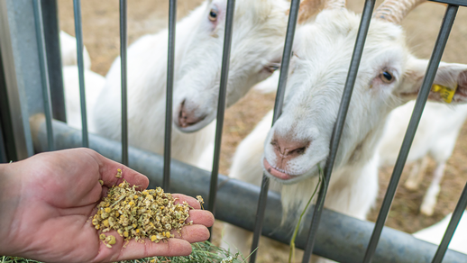  Vetmeduni Vienna &copy;  Vetmeduni Vienna