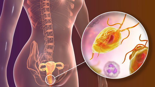 Animation &copy; shutterstock