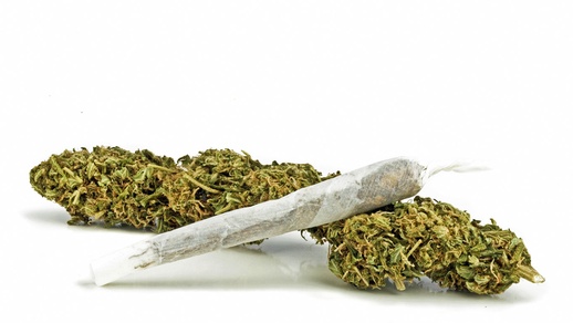 Cannabis © Shutterstock