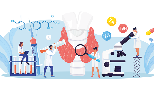 Die Thyreozyten der Schilddr&uuml;se produzieren  die lebenswichtigen Hormone T3 und T4,  die auch f&uuml;r die  Fertilit&auml;t essenziell sind. &copy; shutterstock