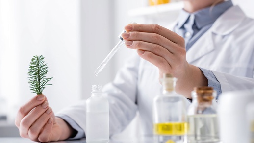 Phytoforschungspreis © Shutterstock