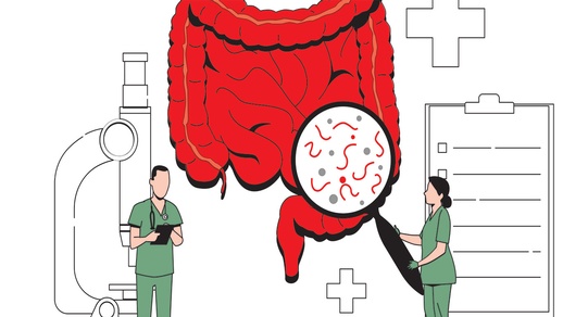 Die Zahl der Magen-Darm-Infektionen mit Salmonellen und  Campylobacter nimmt mit jedem Grad Celsius um 5 % zu. © Shutterstock