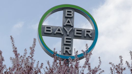 Bayer © Shutterstock/Below the Sky