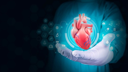 Herz © Shutterstock