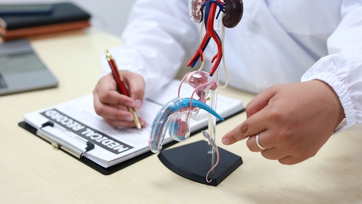 Sperma © Shutterstock