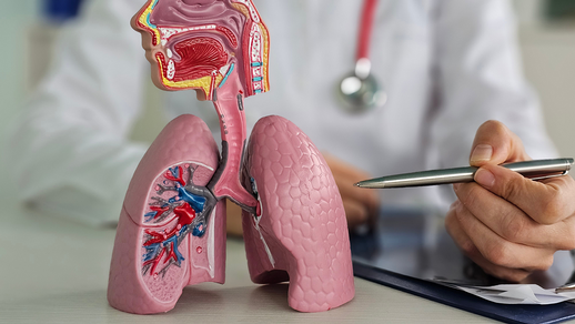 Lunge © Shutterstock