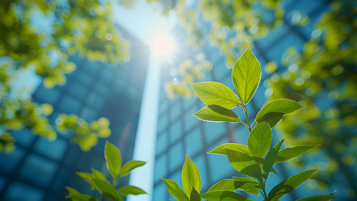 Klimaaktiv Gold © Shutterstock