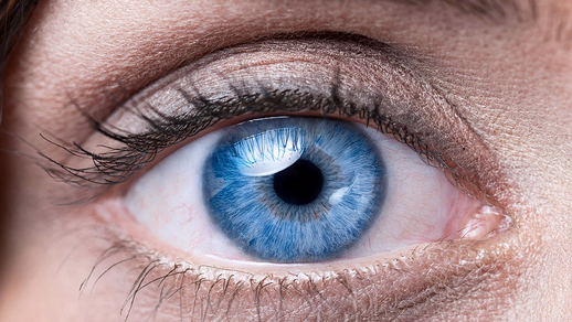Auge © Shutterstock
