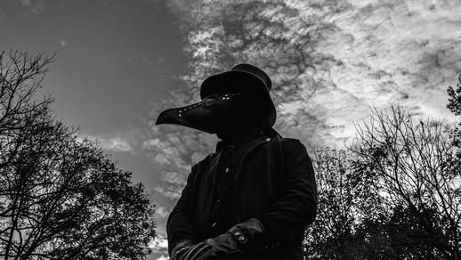 Pest © Shutterstock