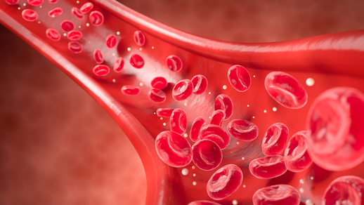 Blutgef&auml;&szlig; &copy; Shutterstock