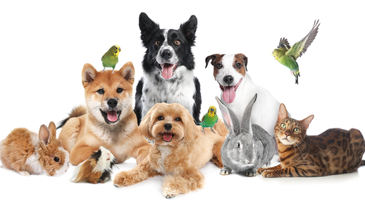 Shutterstock &copy; Shutterstock