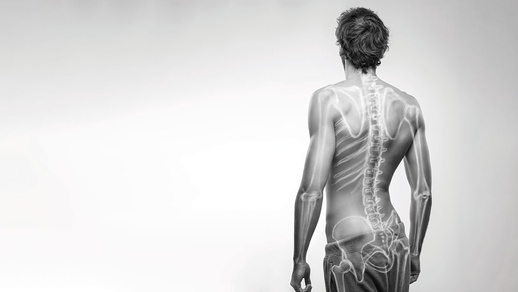 Wirbelsäule © Shutterstock