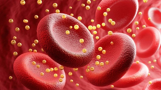 Einstellung des LDL-Cholesterin-Spiegels © shutterstock