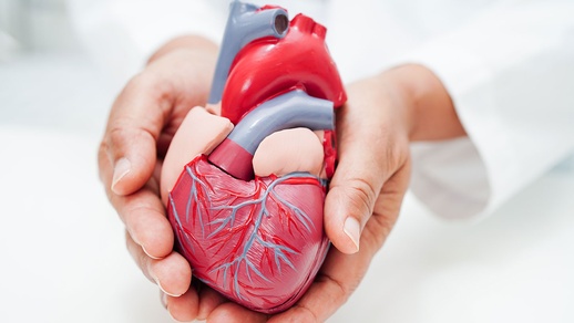 Herz-Kreislauf-Erkrankungen © shutterstock