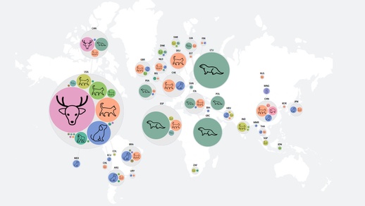 Überblick: SARS-CoV-2-Infektionen bei Tieren. © Screenshot: https://vis.csh.ac.at/sars-ani/ (SARS-ANI, CSH Vienna)