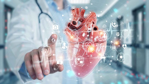 aorta © Shutterstock