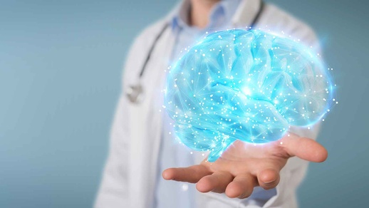 Gehirn © Shutterstock