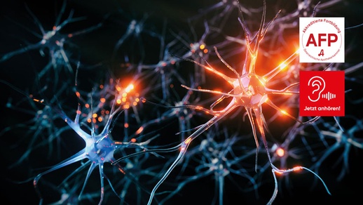 NeuamMarkt © Shutterstock/APOVERLAG