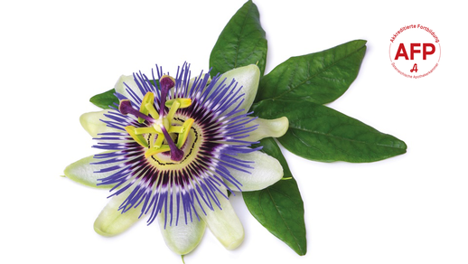 Passionsblume © Shutterstock/APOVERLAG