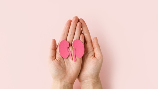 Symbolbild für Nieren. © Shutterstock