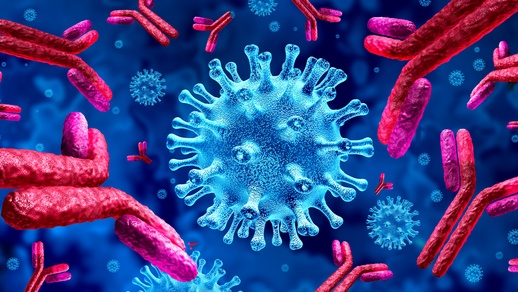 Antikörper bei COVID-19-Infektionen © Shutterstock