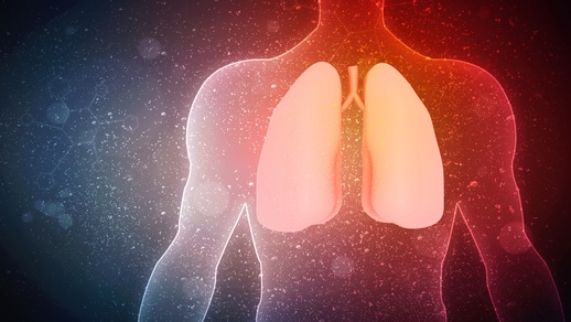 Die Illustration einer menschlichen Lunge. © Shutterstock