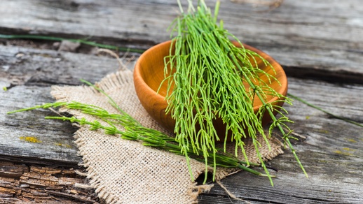 Eine Studie konnte eine leicht blutdrucksenkende Wirkung dokumentieren. © Shutterstock