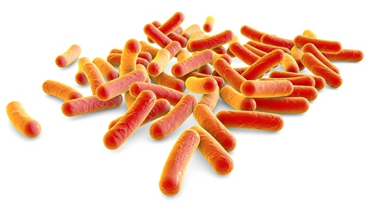 Pseudomonas aeruginosa © Shutterstock