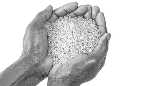 Symbolbild Hunger © Shutterstock