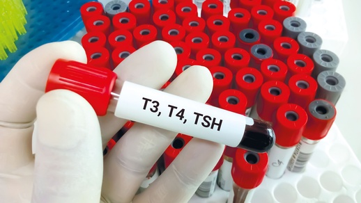 Hormone © Shutterstock