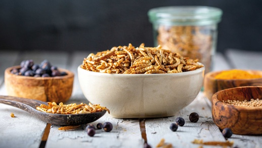 Insekten und Früchte in Schüsseln © iStock