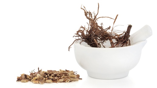 Die Baldrianwurzeldroge erkennt man leicht an ihrem charakteristischen Geruch: Sie riecht nach Isovaleriansäure. © Shutterstock