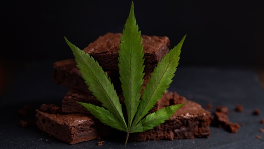 Brownie © Shutterstock