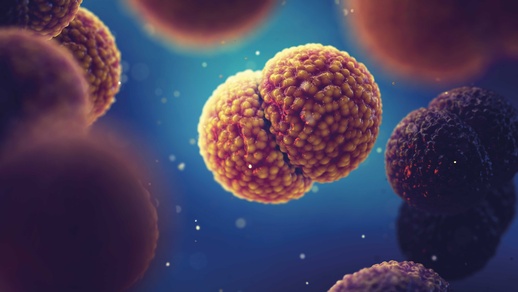 Meningokokken © Shutterstock