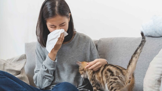 Die neue Klassifizierung von Allergietypen beruht auf den pathologischen Mechanismen, nicht mehr auf Symptomen. © Shutterstock