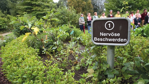 Salzburger Apotheker-Kräutergarten © Franz Neumayr