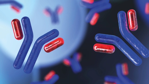 Monoklonale Antikörper © Shutterstock