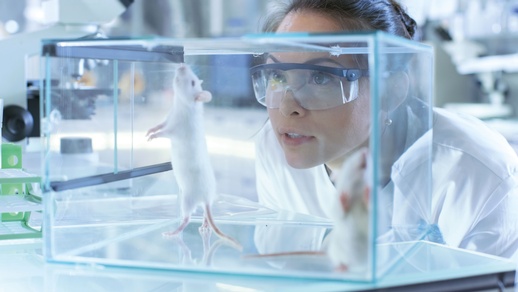 Labor Ratte © Shutterstock