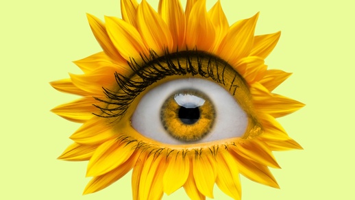 Auge © Shutterstock