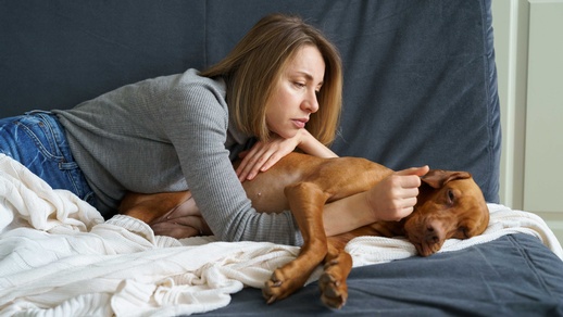 Kranker Hund © Shutterstock