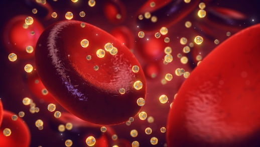 Lipoproteine © Shutterstock