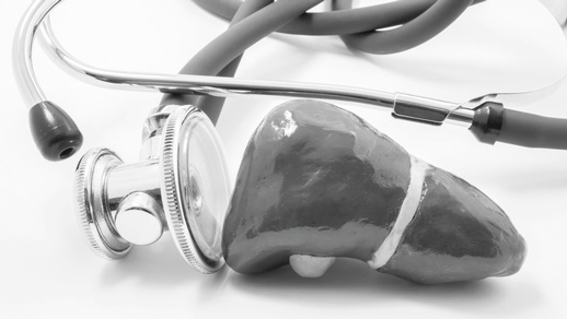 Fettleber © Shutterstock