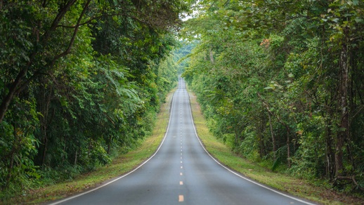 Langer gerader Weg © Shutterstock