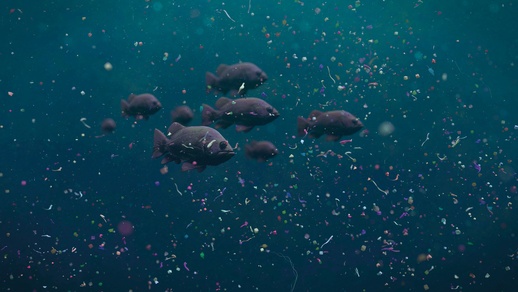 Themenbild Mikroplastik © Shutterstock