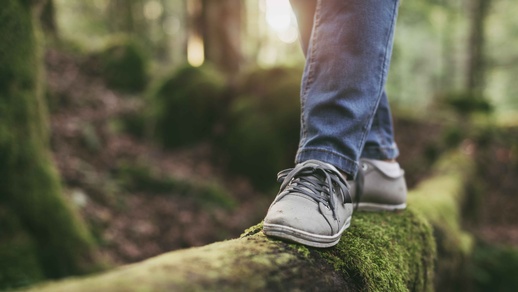 Person blanciert auf einem umgefallenen Baumstamm im Wald. © Shutterstock